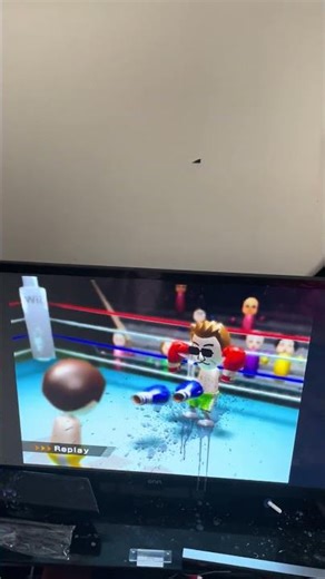Wii sports boxing replay ￼￼