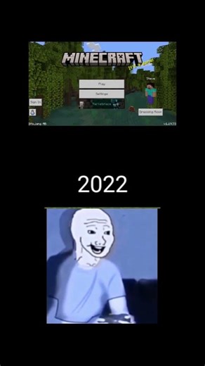 El tiempo que llevó jugando Minecraft