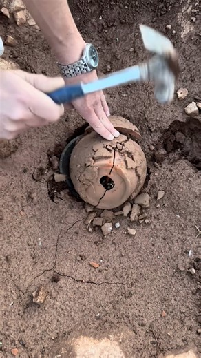 treasure hunter #archaeology #gold