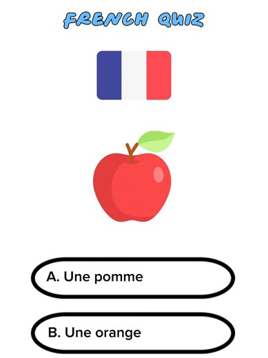 Master French Language with Engaging Quizzes