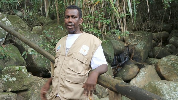 🟠MADAGASCAR NATIONAL PARKS 🟠🌳🌊VALANJAVABOAARY LOKOBE 🌍Velarany: 862ha ka tany ny 740ha amin’izany ary ranomasina kosa ny 122ha 📌Toerana: Faritra Diana, Distrikan’ny Nosy Be, 7km miala an’i Nosy Be Hell Ville 👉🌳Lokobe, izay midika ara-bakiteny hoe « maro savoka » dia hita ao amin’ny faritra atsimon’ny Nosy Be izay isan’ny toerana mbola ahita ala virijiny, ny alan’ny Sambirano. Voasokajy ho isan’ny ala fototra niandohan’ny Nosy Be ity Valanjavaboaary ity ary mampiavaka azy ny fisian’ny far