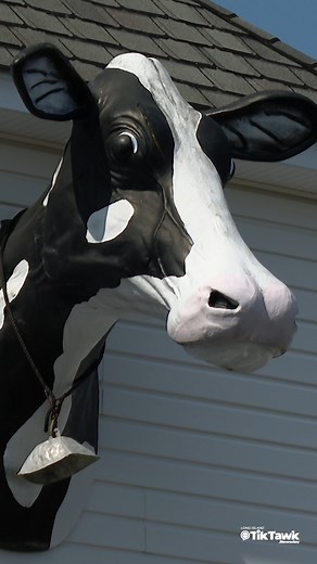 9.6K views · 53 reactions | Long Island family owned eatery Maureen's Kitchen is one place that Chef Danielle Sepsy has admired beginning at a young age. Decades later, the Smithtown-based eatery is one of Chef Danielle's favorites in the world. Watch her full interview and more a newsday.com/tiktawk - #longisland #longislandny #liny #longislandnewyork #suffolkcountyny #suffolkcounty #smithtown #smithtownny #maureenskitchen #cooking #linkinbio | Newsday | Facebook