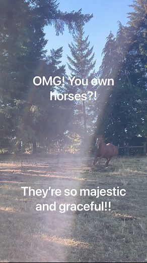 Horses in reality… 😂#horses #funnyhorses #horselove #horseriding | Double Z Farm