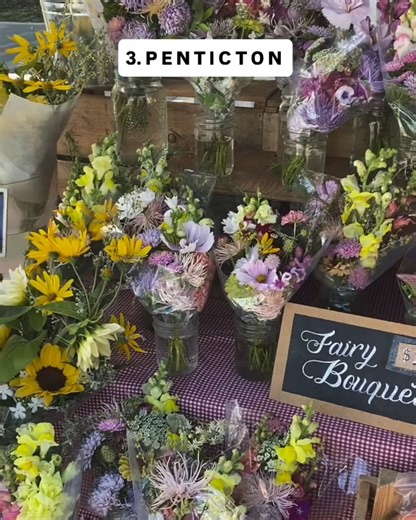 3.3K views · 75 reactions | Summer in the Okanagan Valley. ☀️量 Think warm lakes, scenic drives, endless vineyards, charming small towns, and views that don’t need a filter. From the Okanagan to the Similkameen, every stretch of this route is pure summer magic.  For your complete travel guide, visit https://okanagan.com/ : withlove_travelbug via Instagram : Thompson Okanagan Tourism Association | Canada Keep Exploring | Facebook