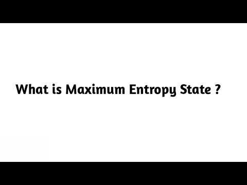 What is Maximum Entropy State ?