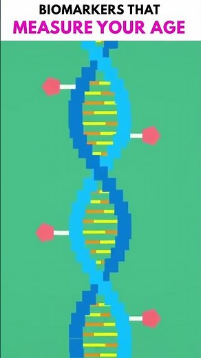 Biomarkers That Measure Your Age!
