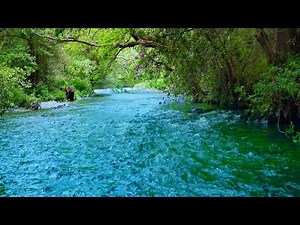 😴 Fall Asleep Fast to a Soft Forest River Stream 💧 No Birds • Relaxing Water Sounds (10 Hours).