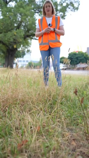The Allan Labor government can’t afford to mow the grass anymore. So we decided to do it for them. Victoria, it’s time to turf this government out. | Jess Wilson MP