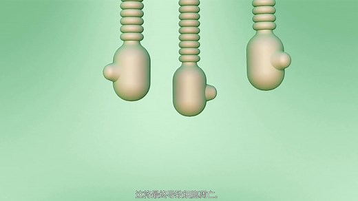 科研视频Caspase-3活性检测