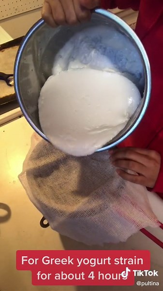 Instant Pot Greek Yogurt Made Easy