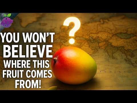 The Evolution of Fruits: From Wild to What’s in Your Fridge