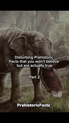 Prehistoric Facts you won't believe but are true. #pterosaurus #real #dinosaur #jurassicworld