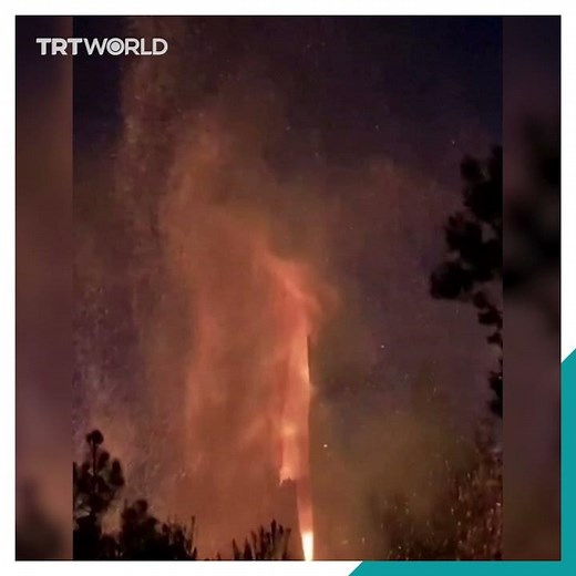 Tree splits in two after lightning strike in the US