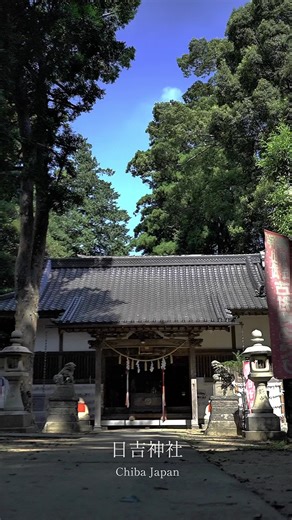 樹齢400年の杉並木と日吉神社の神秘