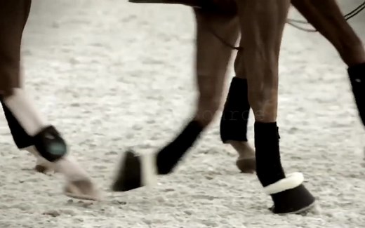 马术音乐控：无法停止，你也如我们这般，对马术无限热爱么？ Unstoppable __ Equestrian Music Video