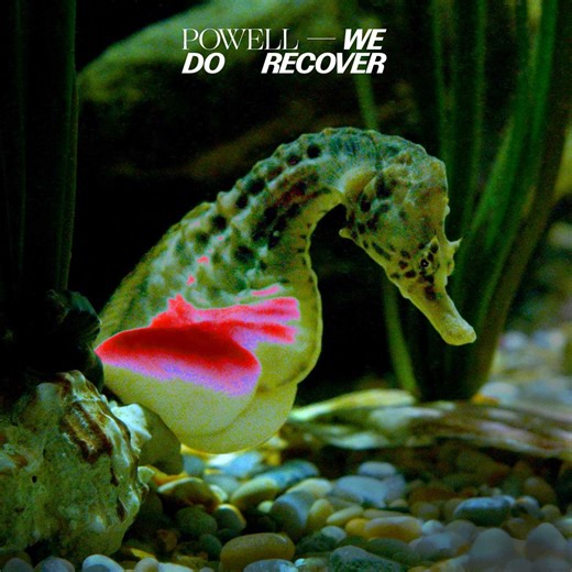 Powell - We Do Recover