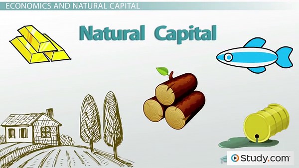 Natural Capital | Definition & Examples