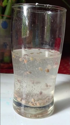 Dancing raisins experiment using water ,baking soda and vinegar....