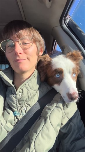 Luna lived on a chain in a backyard for most of her life. She came to us because the family who had her said they were going to just open their gate and let her go. She was never valued the way she deserved but today she will always know love! Today she got adopted by the absolute best family! | Angela Adan