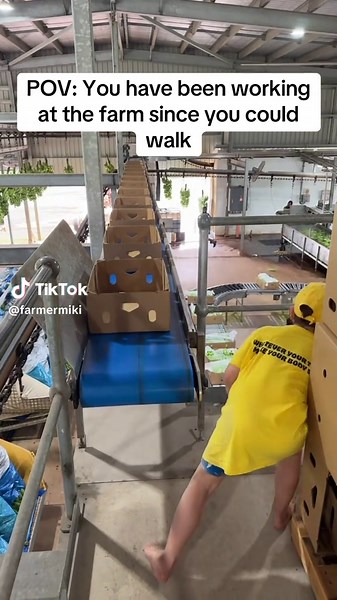 Life on the Chicken Farm: A Hilarious POV Experience