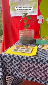 877K views · 4.6K reactions | Adquiere el Proyecto preescolar: Mi...