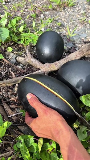 Fruit ASMR: Gentle Eating Sounds from fruit96