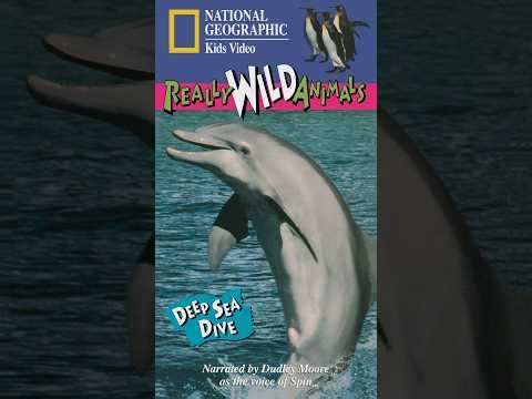 Really Wild Animals: Deep Sea Dive