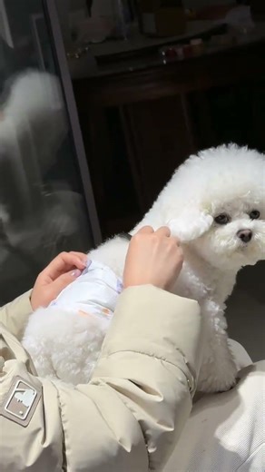 Posting on Moments may not be understood by anyone but a trembling voice is sure to be und