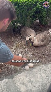 That guy is a warrior, I couldn't💪 | Now I've Seen Everything