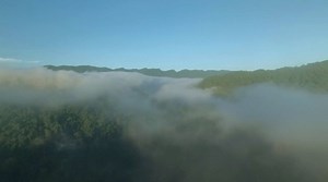 Follow us into the depths of the Malayan rainforest and discover the beautiful and undisturbed Imbak Canyon. Partnered Content presented by Petronas. | BBC StoryWorks