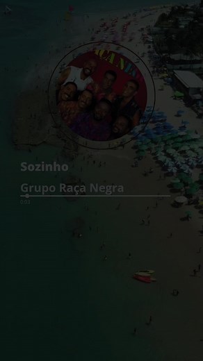 Loucos_por_Pagode no TikTok