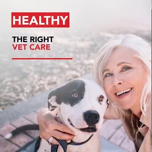 343 reactions · 19 shares | Keep your pets protected all summer long...