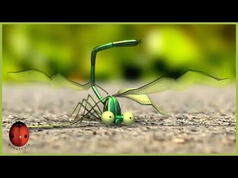 At Full Speed | Minuscule 🍃 40' Compilation