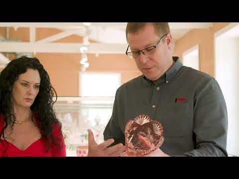 American Brilliant Cut Glass, presented by the ACGA, Dorflinger Factory Museum & Woody Auction House