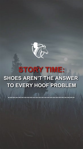 Mastering Hoof Care: Why Shoes Aren't Always the Solution