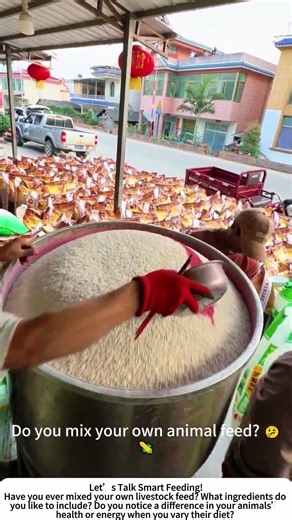 Homemade Animal Feed – Mixing Crops for Healthier Livestock! 🌾🐓