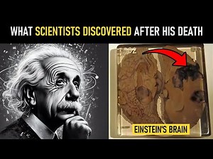 The Hidden Differences Between Einstein's Brain and a Normal Human Brain