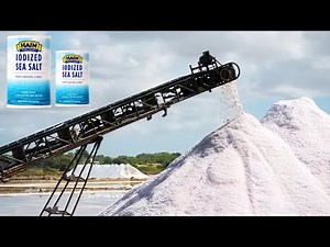 Top 5 Sea Salt Processing Techniques Used by Industry Experts Today