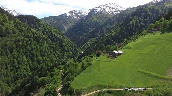 Alpine chalet Alps lush meadow beneath mountains fairytale retreat highland weather detail. Charming cabin rests beside forested valley peaceful upland dwelling pastoral escape. europe, green meadow, wooden house Stock Video Footage - Alamy
