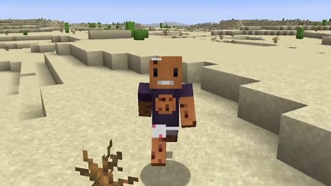 Can You Beat 1.17 Minecraft Update in a DESERT ONLY World?