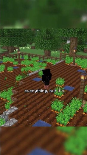 This SMP is all made WITHOUT mods #minecraft #smp