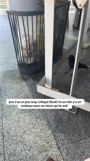 pas le corbeau agent secret 🕵️