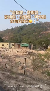 關注 #鳳凰衛視，帶你網羅中文世界大小事！ From China to the World. Follow PhoenixTV, your all-day news source! | Phoenix TV 鳳凰衛視