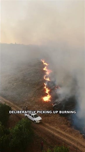 The Terrifying Birds That Literally Start Fires