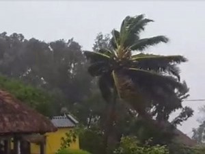 Video: Mozambique hit hard as Cyclone Dineo strikes