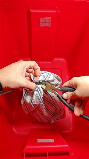 The twig snake one of the most venomous colubrids on the planet #twigsnake #venomman20 #reptiles #animals #africa #venomous #reptiles | Venomman