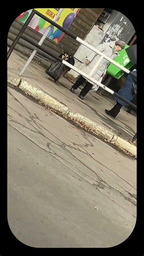 вот такая собачка... #животные #собака #приколысживотными #собачка