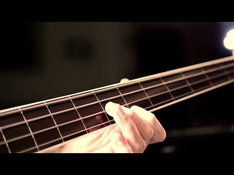 Sire Marcus Miller 4 string Fretless Bass Demo