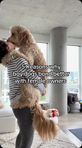 3.8M views · 84K reactions | Male dogs and female owners 凉 #dogs #goldendoodle #boydog | Me • My Doods • and • I | Facebook