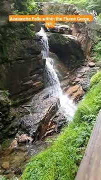 Avalanche Falls within the Flume Gorge, NH. #Waterfalls #FlumegorgeNH #TravelNewHampshire #u2bshorts
